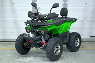  Grizzly Aerox 125 3 