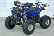  Grizzly Pro 125 3 