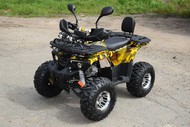  Grizzly Aerox 125 3  